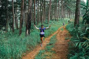 BIB: 
                            <button type="button" onclick="openModal(25654883)" class="btn btn-primary btn-sm float-right btn-popup" data-toggle="modal" data-target=".modal-high-quality">
                        <i class="fas fa-shopping-cart"></i> Add to Cart
                    </button>
                                            <button type="button" onclick="isThisMe(25654883, true)" class="btn btn-success btn-sm float-right btn-popup btn-isme hidden" data-toggle="tooltip" data-placement="bottom" title="นี่คือรูปของคุณใช่ไหม คลิกที่นี่เพื่อเอาเข้าอัลบั้ม">
                        <i class="fas fa-plus"></i> Add to album
                    </button>
                    <button type="button" onclick="isThisMe(25654883, false)" class="btn btn-warning btn-sm float-right btn-popup btn-isnotme hidden">
                        <i class="fas fa-ban"></i> Remove from album
                    </button>